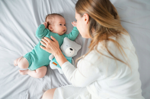 Szumisie Szumiś Miś Lily Szary na Sen + Gryzak Szumisie Szumiś Miś Lily Szary na Sen + Gryzak