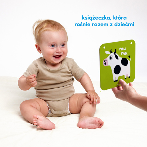 CzuCzu Duże Karty Ilustracje Kontrastowe 6-9 Miesiące 62671 CzuCzu Duże Karty Ilustracje Kontrastowe 6-9 Miesiące 62671