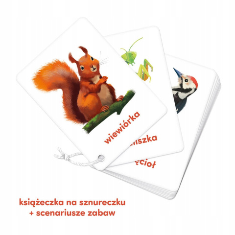 CzuCzu Karty Obrazkowe na Sznurku Zwierzęta 2+ 62145 CzuCzu Karty Obrazkowe na Sznurku Zwierzęta 2+ 62145