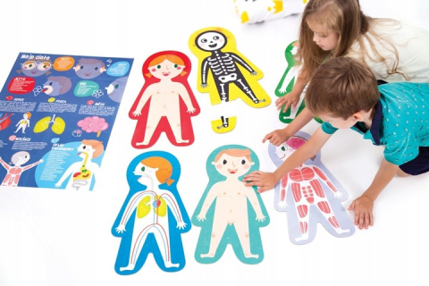 CzuCzu Duże Puzzle Moje Ciało 84 elementy 18m+ 90173 CzuCzu Duże Puzzle Moje Ciało 84 elementy 18m+ 90173