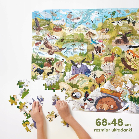 CzuCzu Dzikie Puzzle Parki Narodowe 200 elementów 6+ 92498 CzuCzu Dzikie Puzzle Parki Narodowe 200 elementów 6+ 92498