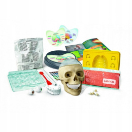 Clementoni Zestaw Kreatywny Naukowa Zabawa Zwariowana Anatomia 50697