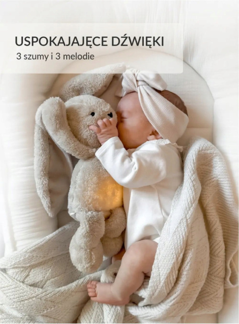 Szumisie Szumiś Królik Beż Lampka 5w1 Przytulanka Czujnik Snu Szumisie Szumiś Królik Beż Lampka 5w1 Przytulanka Czujnik Snu