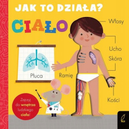 Jak to Działa? Ciało Człowieka Wilga