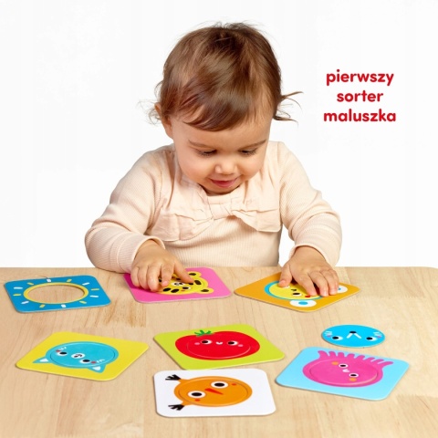 CzuCzu Pierwszy Sorter dla Dzieci Koło 12m+ 94607