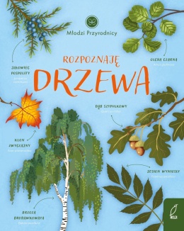Młodzi Przyrodnicy Rozpoznaję Drzewa Wilga