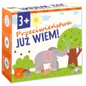 Gra Już Wiem 3+ Przeciwieństwa Kangur